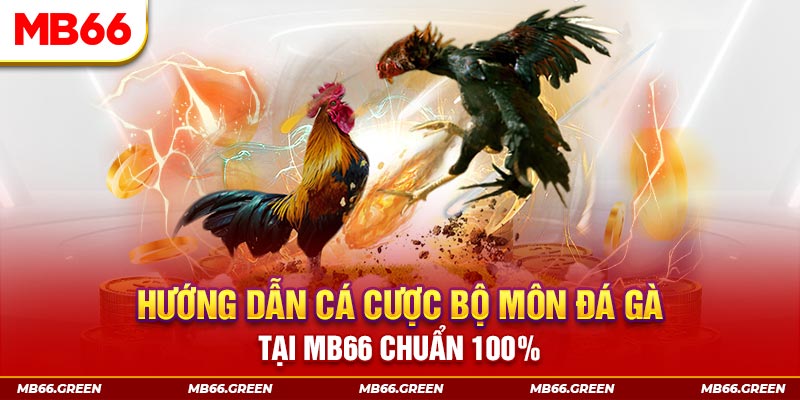 pg888 kết quả xổ số miền bắc ngày hôm nay
