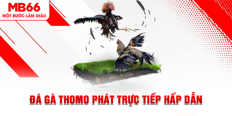 pg888 xổ số thứ tư