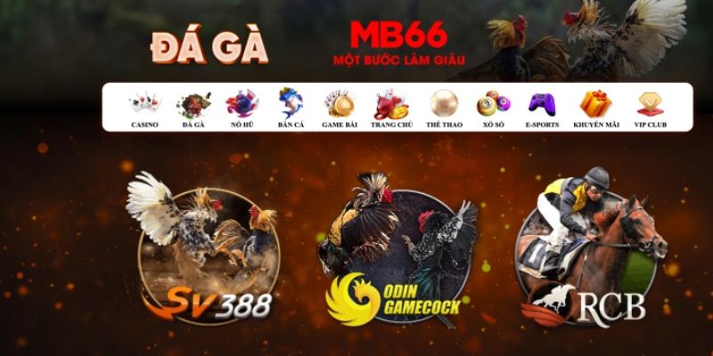 pg888 what is casino bonus wagering