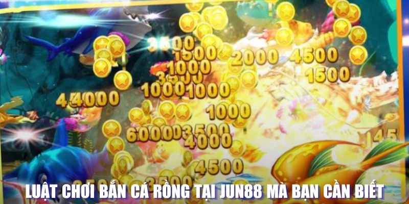 pg888 xổ số đài hà nội