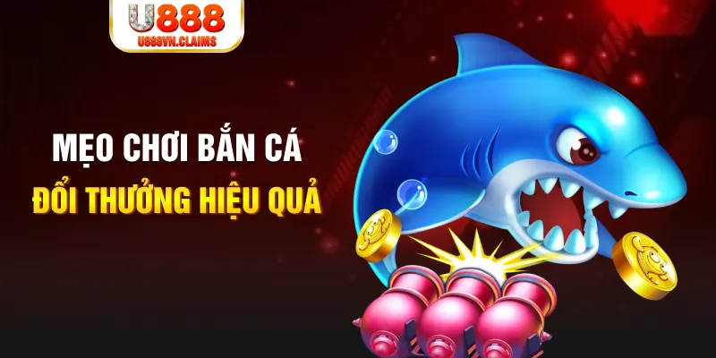 pg888 gà chọi cam ranh