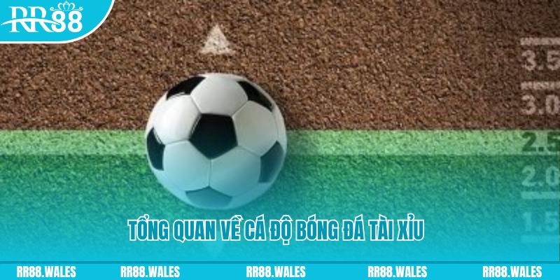 pg888 đăng nhập roulette online