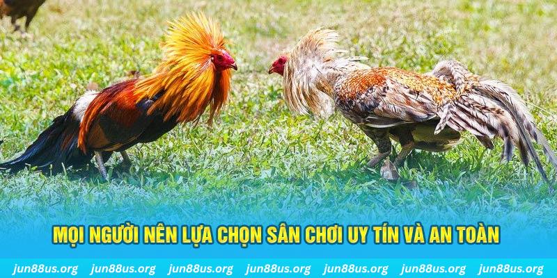 pg888 Cỡ bảy
