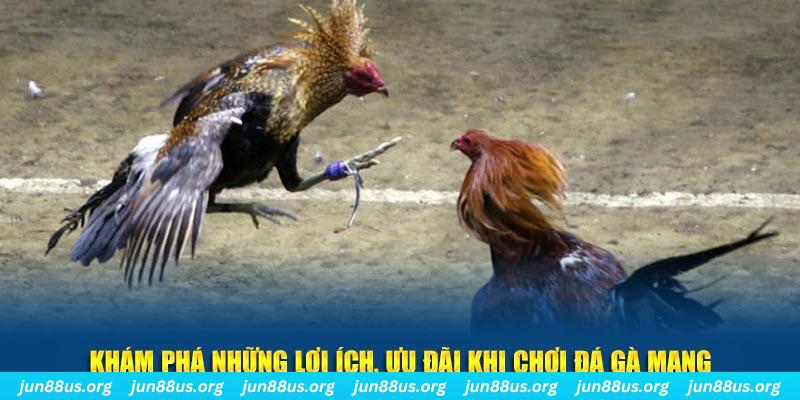 pg888 đăng nhập liêng live