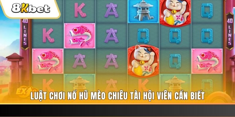 pg888 gà chọi cu cần