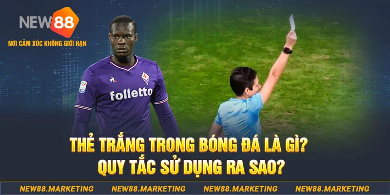 pg888 đăng nhập sòng bạc hôm nay