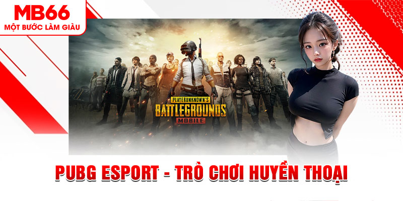 pg888 casino online là gì